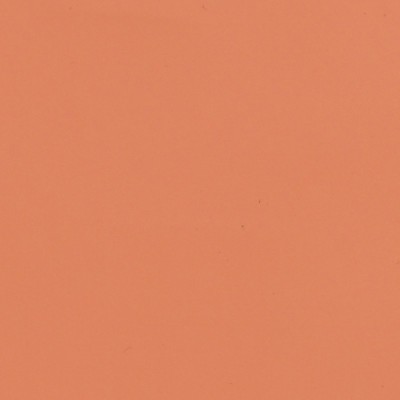 MG2P01 - Pêche Brillant 2